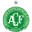Chapecoense B Football Team Results
