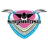 Sagan Tosu Football Team Results