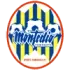 Montedio Yamagata Football Team Results