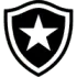 Botafogo U20 Football Team Results