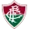 Fluminense U20 Football Team Results