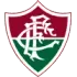 Fluminense U20 Football Team Results