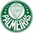 Palmeiras U20 Football Team Results
