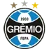 Gremio U20 Football Team Results