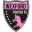 Wexford FC (W) Football Team Results