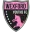 Wexford Youths Women Football Team Results