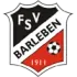 FSV Barleben Football Team Results