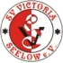 SV Victoria Seelow Football Team Results