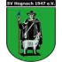 SV Hegnach 1947 E.V Women Football Team Results