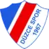 Duzcespor Football Team Results