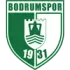 Bodrum FK Football Team Results