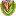 Slask Wroclaw II