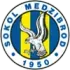 Tj Medzibrod Football Team Results