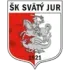 Svaty Jur Football Team Results