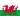 Wales U19