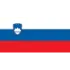 Slovenia U19 Football Team Results
