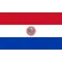 Paraguay U20 Football Team Results