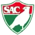 Salgueiro Football Team Results