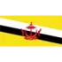 Brunei U20 Football Team Results