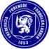 Fredericia fF Football Team Results