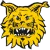 FC Ilves