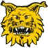 FC Ilves Football Team Results