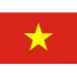 Vietnam U17 Football Team Results