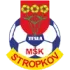 MSK Tesla Stropkov Football Team Results