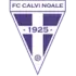 Calvi Noale Football Team Results