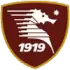 Salernitana U19 Football Team Results