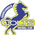 Cumbernauld Colts Football Team Results