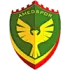 Amedspor Football Team Results