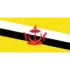 Brunei Football Team Results