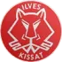 Ilves Kissat Football Team Results