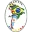 CF Atletic America Football Team Results