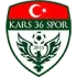 Kars 36 Spor Football Team Results