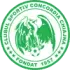 CS Concordia Chiajna Football Team Results