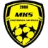 MKS Trzebinia-Siersza Football Team Results