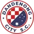 Dandenong City Football Team Results