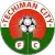 Techiman City