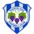 Tochigi City Football Team Results