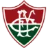 Fulgencio Yegros Football Team Results