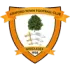 Ashford Town (Middx) Football Team Results