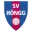 SV Hongg Football Team Results