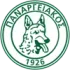 Panargiakos Football Team Results