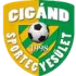 Cigand SE Football Team Results