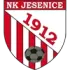 NK Jesenice Football Team Results