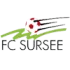 FC Sursee Football Team Results