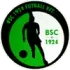 Budaorsi SC Football Team Results