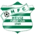 Heviz FC Football Team Results